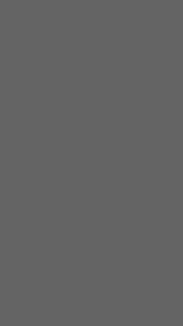 Prime Matte Grey